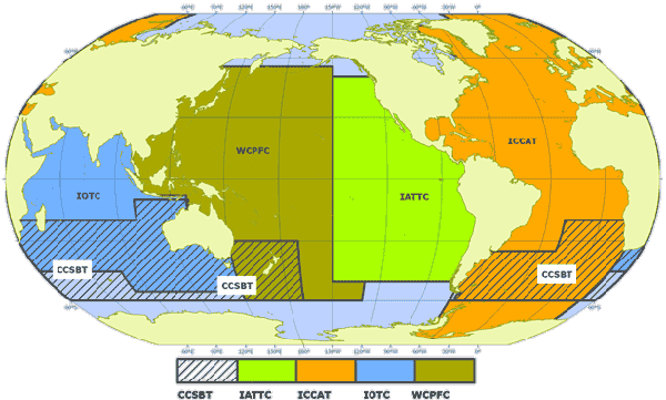 FAO. 2010. Competence areas of Tuna Regional Fisheries Management Organizations.