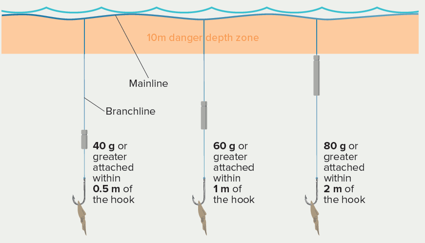 Line weighting & bait sink rate  Bycatch Management Information System  (BMIS)