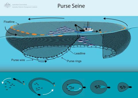 JUST SHARE ENTERTAINMENT AND EDUCATION: PURSE SEINE FISHING EQUIPMENT