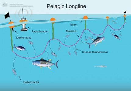 Equipment for deep longline fishing