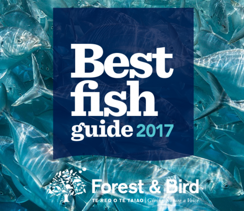 BestFish Guide