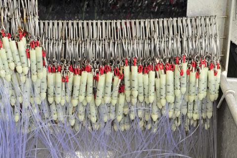Rigged Lumo Leads - Image courtesy of Fishtek Ltd Rigged Lumo Leads