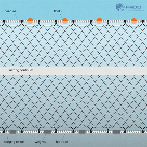 FRDC-gillnets