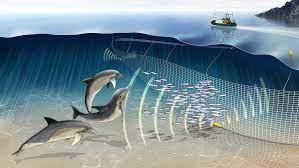 © Crosby et al 2013 Crosby et al 2013