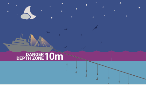 Night / day setting  Bycatch Management Information System (BMIS)