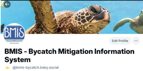 BMIS Blueskyt account profile
