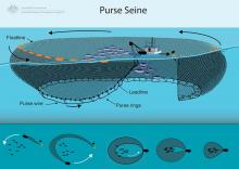 Fishing Gear  Bycatch Management Information System (BMIS)