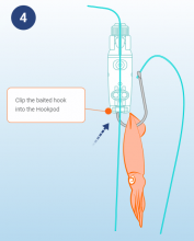 Underwater setting techniques  Bycatch Management Information System (BMIS)